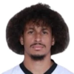 Matheus Henrique de Lima Loureiro