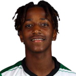 Alexandre Miguel Soares Carvalho Brito