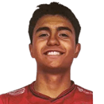 Nicolas Villarroel Galindo