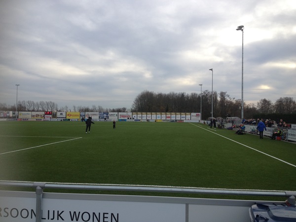 Sportpark SteDoCo Kunstgrasveld